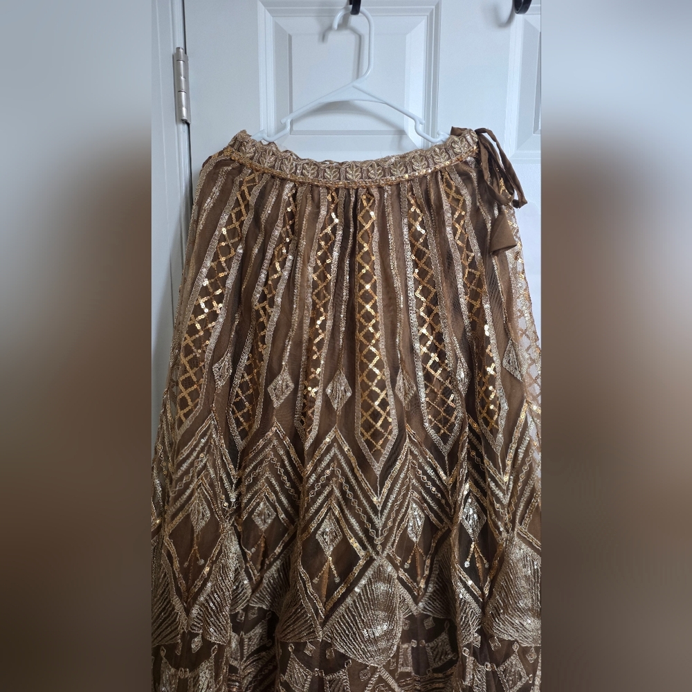Golden Brown Net Embroidered Lehenga Choli - Picture 8 of 13